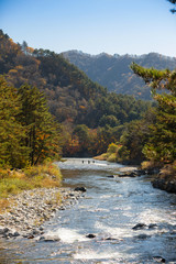  Autumn forest river landscape, South Korea