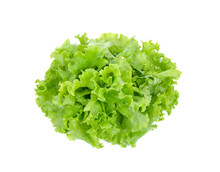 Salad Leaf. Lettuce Isolated On White Background