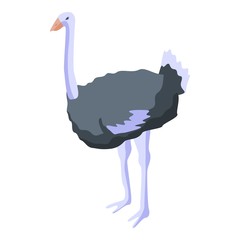Wall Mural - Domestic ostrich icon. Isometric of domestic ostrich vector icon for web design isolated on white background