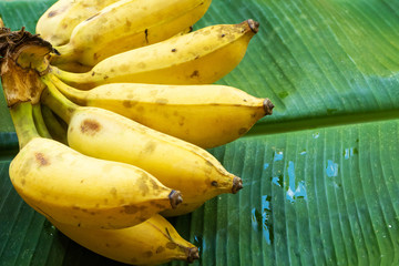 A branch of juicy yellow bananas on a green banana leaf. Ripe juicy fruits.