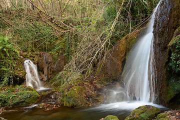 Canvas Print - Río Altube - 01