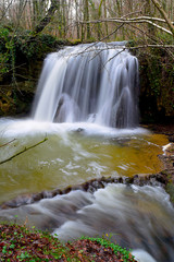 Canvas Print - Río Altube - 15