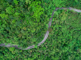Fototapeta Uliczki - Aerial drone view of trail in spring tropical forest