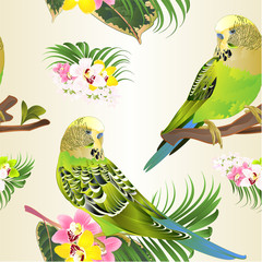 Seamless texture green parakeets Budgerigars, home pet , pet parakeet  or budgie or shell parakeet with Orchid cymbidium pink white and yellow  palm ficus watercolor vintage vector