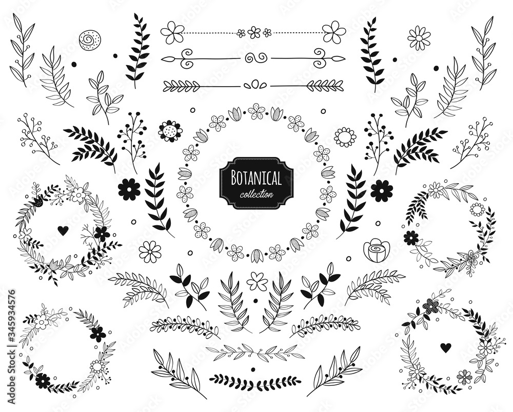Hand drawn vector floral elements. Branches and leaves. Herbs and plants collection. Vintage botanical illustrations and floral wreaths. - obrazy, fototapety, plakaty 