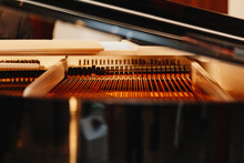 Close Up Of Pattern Of Hammers And Strings Inside Grand Piano