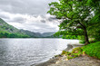 The bank of Ullswater in the Lake District showing the rambling hills and calm water. 