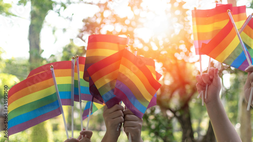 Cuadros en Lienzo LGBT, pride, rainbow flag as a symbol of lesbian, gay, bisexual, transgender, an