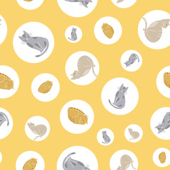 Wall Mural - Seamless vector pattern with cats and circles on yellow background