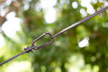 Carabiner Hook With A Climbing Rope On Bokeh Of Green Leaves Background. Climbing Concept