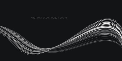 Wall Mural - abstract monochrome background, fluid thin lines forming curve, artistic white and black composition
