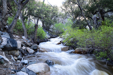 waterfall in the forest