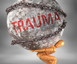 Trauma and hardship in life - pictured by word Trauma as a heavy weight on shoulders to symbolize Trauma as a burden, 3d illustration