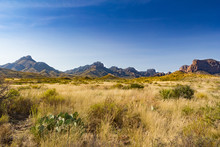 Chisos Mountains And Desert Scenery Of Big Bend National Park In West Texas, USA