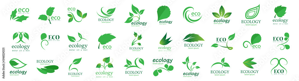 Collection Of Eco And Organic Logo Set - Isolated On White Background - Vector. Eco And Organic Logo Useful For Leaf Icon, Ecology Logo, Eco Symbol And Template Design. Ecology Tree Icons - obrazy, fototapety, plakaty 