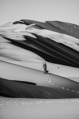 Wall Mural - sand dunes in the Liwa desert ,abu dhabi , united arab emirates