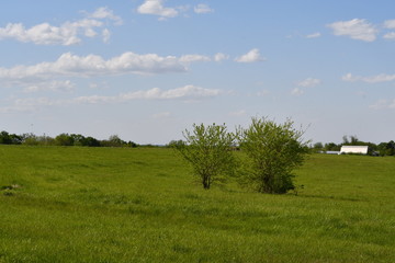 Spring Field