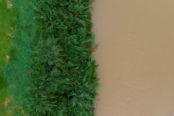 Aerial shot of the green tropical plant and green field with sand polluted yellowish river