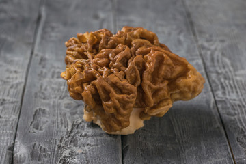 Wall Mural - Large gyromitra on a black wooden background.