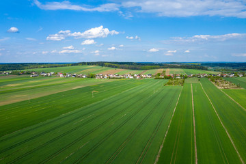 Wall Mural - Aerial view of green agriculture field in Jura region, Silesian Voivodeship. Poland.