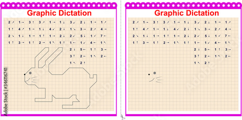 Fotografía Graphic dictation Copy the graphic image