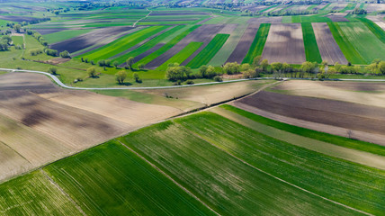 Poster - Colorful Scenic Farm Fields Patterns in Countryside. Aerial Drone View