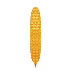 Sticker - Corn icon. Isometric of corn vector icon for web design isolated on white background
