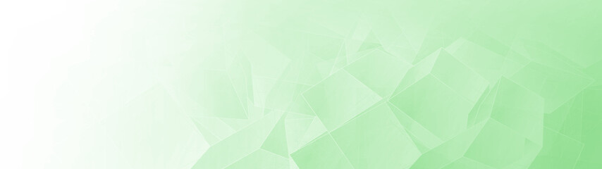 Fototapete - Light green wide banner background