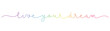 LIVE YOUR DREAM rainbow-colored vector monoline calligraphy banner with swashes