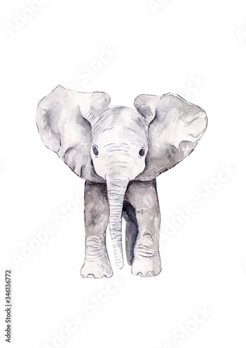 Fotomural Cute Baby Elephant calf standing