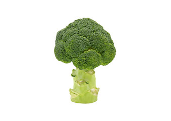 Wall Mural - Fresh broccoli isolated on white background with clipping path or make selection. Freshness green vegetable, Healthy food for diet and Produce of agriculture 