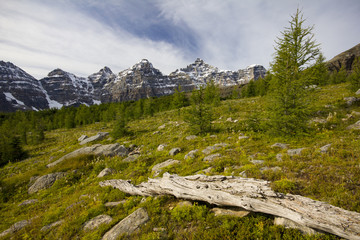 Wall Mural - Valley of the Ten Peaks - Banff National Park, Alberta, Canada