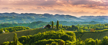 Panoramic View At Famous Wine Street In South Styria, Austrian Destination, Tuscany Like Vineyard Hills.