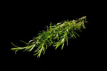 bunch of rosemary on black background