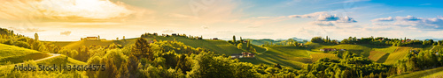 Fotomural Panorama of vineyards hills in south Styria, Austria