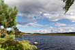 Taiga Lake in North Karelia