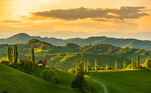 South Styria Vineyards Landscape, Near Gamlitz, Austria, Europe. Grape Hills View From Wine Road In Spring. Tourist Destination, Travel Spot.