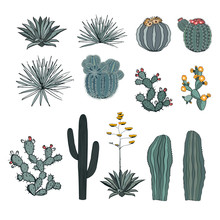 Set Saguaro Cactus, Blooming Cacti, Prickly Pear, Agaves, And Yucca. Vector Collection Isolated On White Background.