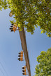 © Natalie Schorr - Arm of light mast with numerous stop lights, viewed from beneath, blue sky and trees, vertical aspect