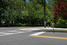Intersection Of Two Streets In An Urban City Landscape, Park With Trees And Bushes, Creative Copy Space, Horizontal Aspect
