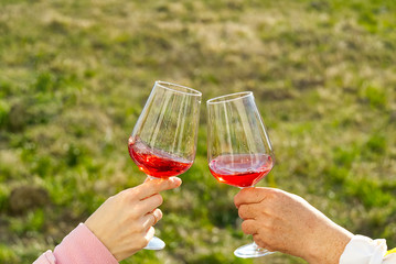 Clink with red wine glasses outside on the garden. garden party. Two people clinking each other's glasses with rose wine.