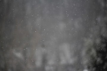 snow