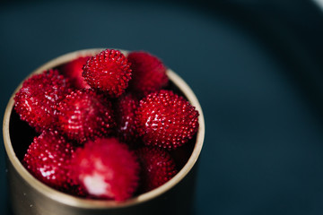 Indian Mock Wild Strawberries
