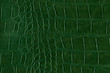 Green alligator or reptile skin of high quality and high resolution. Texture and background of crocodile or alligator dark green skin in square pattern for wallets, purse, bags and interior design.