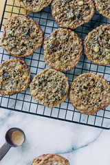 Baking Oatmeal Chocolate Chip Cookies