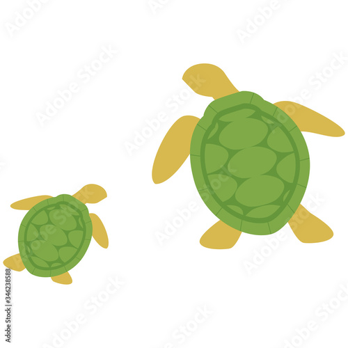 533 Urn Transparent Wall Murals Canvas Prints Stickers Wallsheaven