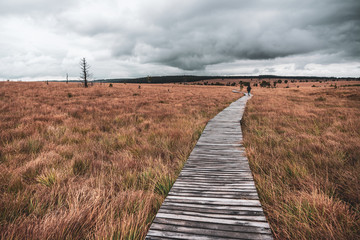 walker in nature reserve high fens, belgium.