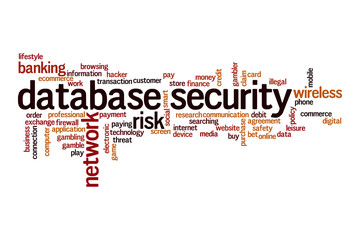 Wall Mural - Database security word cloud concept