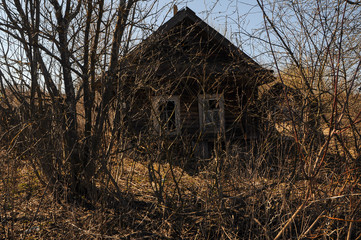 abandoned old house in a Russian village on a Sunny day, dry grass around the house, early spring