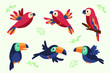 Cartoon tropical birds pattern premium vector illustration